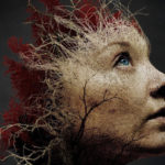 Las Samobójców -recenzja